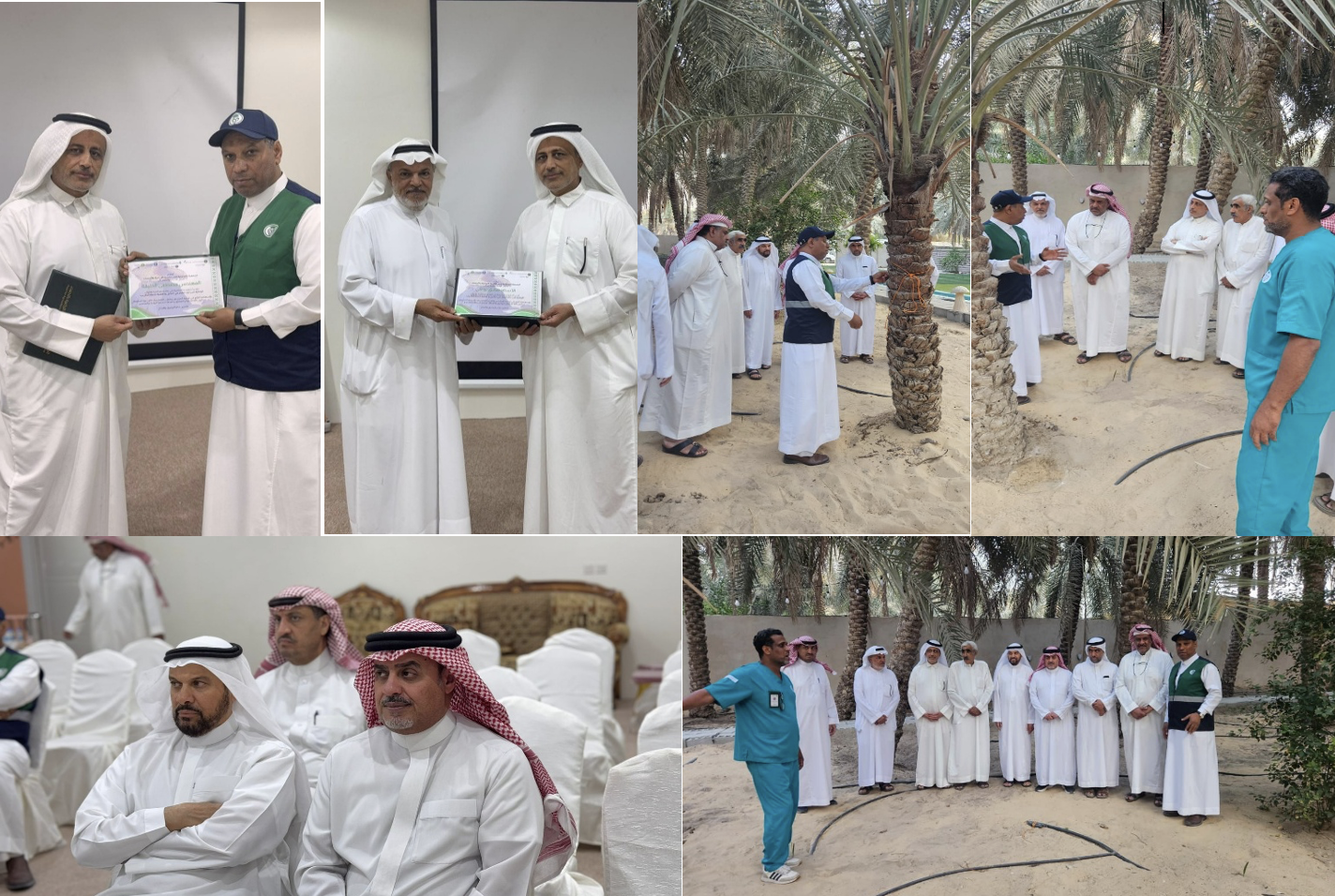 الوقاية من حلم الغبار وأهمية تكريب النخيل
